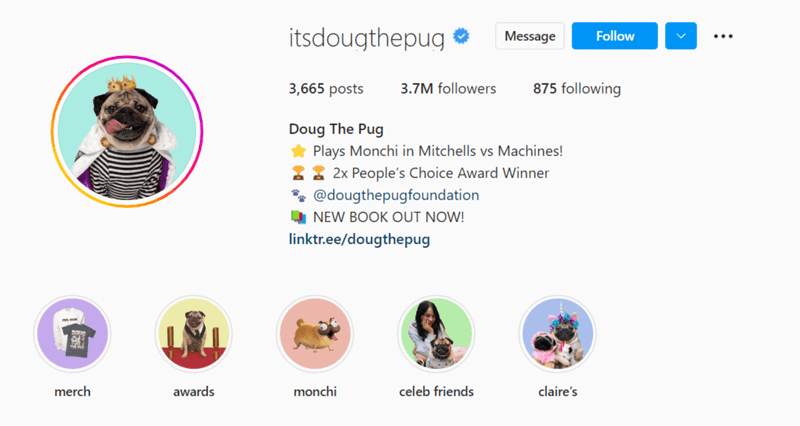 Doug-the-pug How to Make Money on Instagram - Doug the Pug