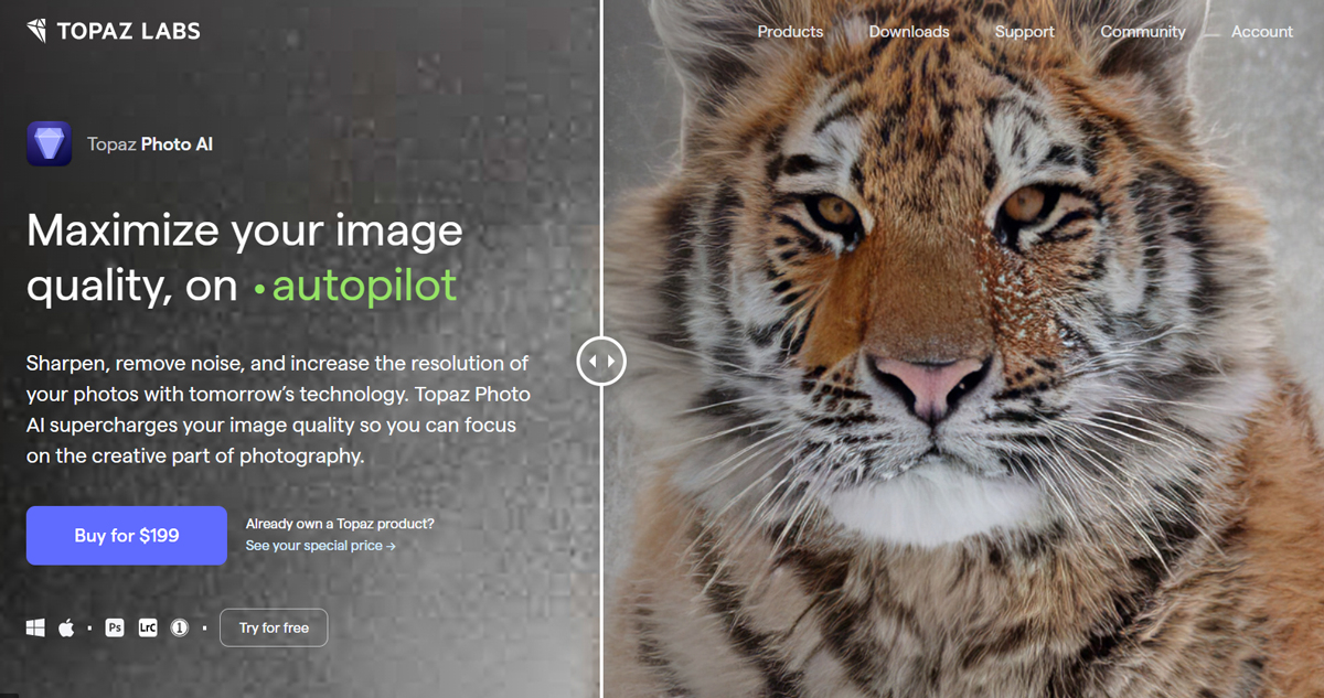 Topaz-labs-photo-ai-main-page Topaz labs photo ai main page